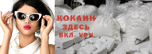 индика Алексин