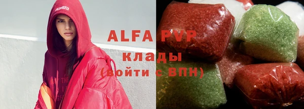 индика Алексин