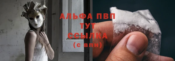 индика Алексин
