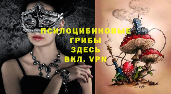 МДПВ Алзамай