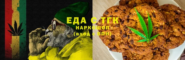 индика Алексин