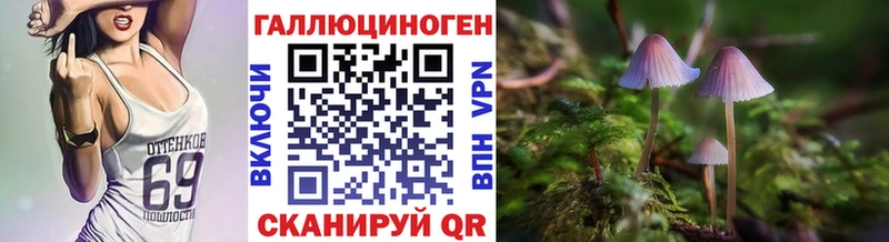 цены наркотик  omg tor  Галлюциногенные грибы прущие грибы  Кочубеевское 